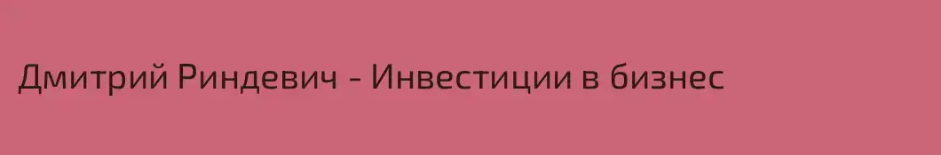 Дмитрий Риндевич - Инвестиции в бизнес